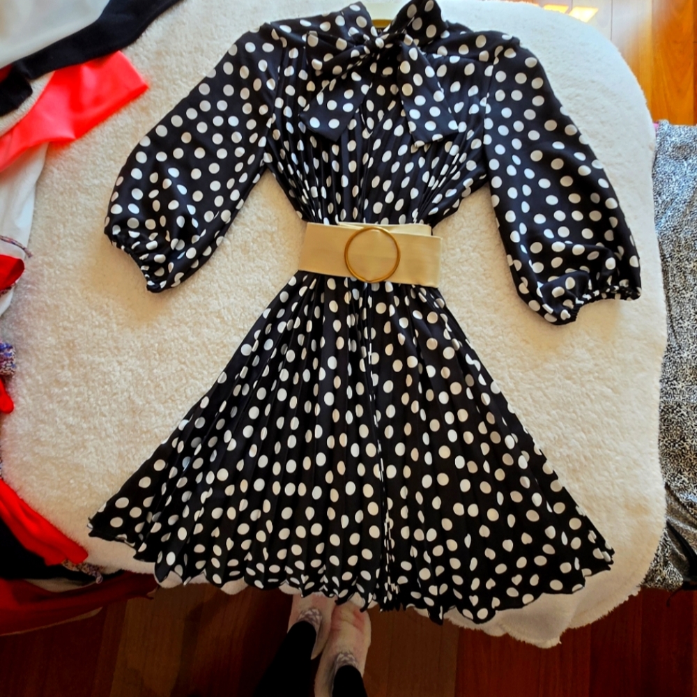 Zara Polka Dot elegant dress